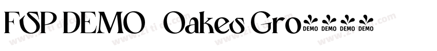 FSP DEMO   Oakes Gro字体转换